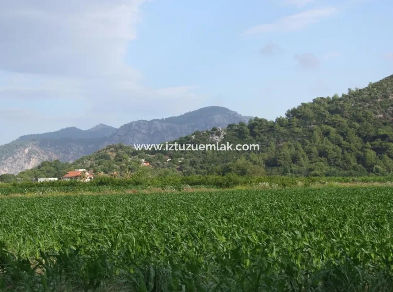 Bauernhof Zum Verkauf In Der Nähe Des Zentrums Von Dalyan,14, 612M2 Bauernhof Zum Verkauf