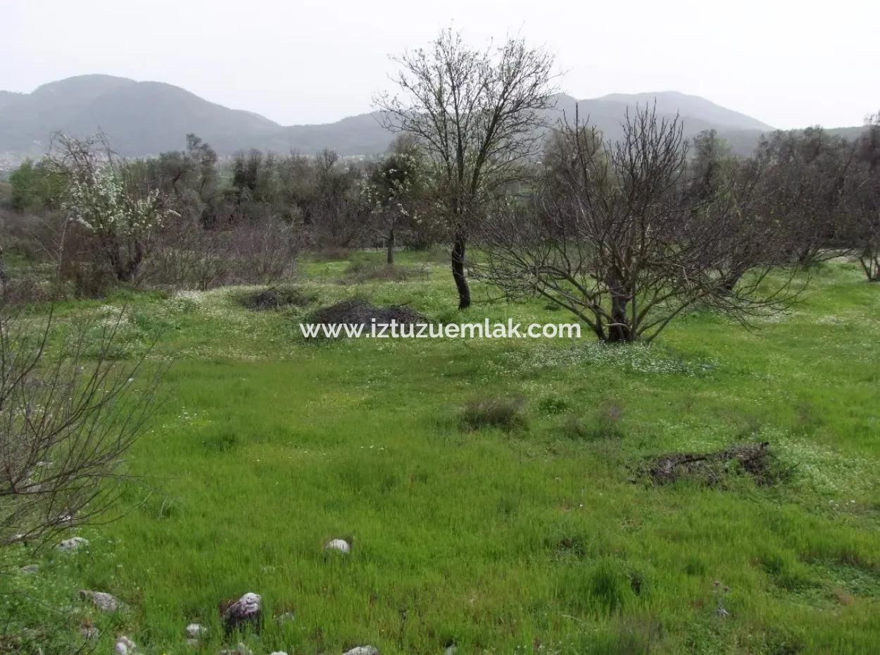 In Incirkoy Uzumlu Fethiye Grundstück Für Verkauf Bauernhof Zum Verkauf In Incirkoy