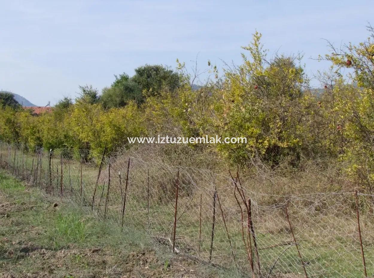 Güzelyurt Land Zu Verkaufen Dorf Gebaut 6670M2 Land Zum Verkauf