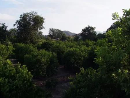 Nahe Dem Zentrum Von Dalyan In Dalyan Grundstück Für Verkauf Zum Verkauf 987M2