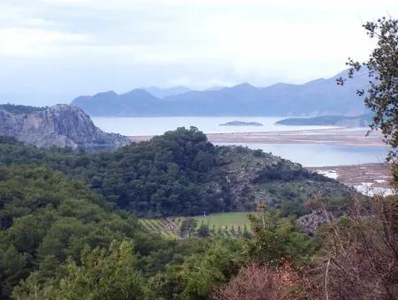 Merkez Dalyan Iztuzu See Zum Verkauf In Gokbel Null Pfad 7484M2