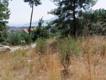 Land Zu Verkaufen In Gocek Fethiye Göcekde 2017M2 Land Zum Verkauf Mit Full Sea View