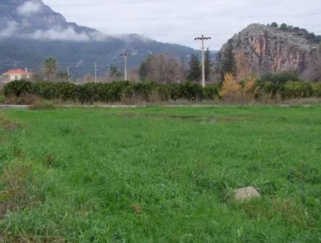 Gulpinar Dalyan Dalyan Zum Verkauf In 1002M2 Grundstück Für Verkauf Zum Verkauf Eckstein