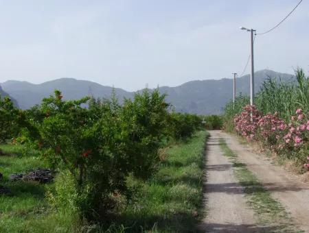 Merkez Dalyan Iztuzu See-Garten-Villa Zum Verkauf