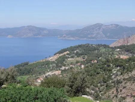 Land Zum Verkauf In Faralya Mit Vollem Meerblick Zum Verkauf