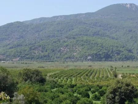 Bauernhof Zum Verkauf Bauernhof Zum Verkauf In Dalyan 73410M2