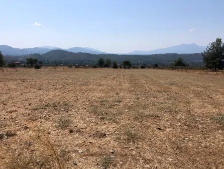 11.227M2 Grundstück Zum Verkauf Mit Seeblick In Köyceğiz Zeytinalan