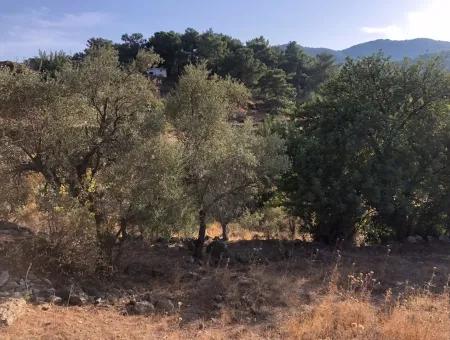 Gökbel Land Zu Verkaufen 1000M2 Land Zum Verkauf Mit Meerblick