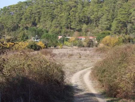 6850M2 Zonierungland Mit Meerblick In 'Aml'