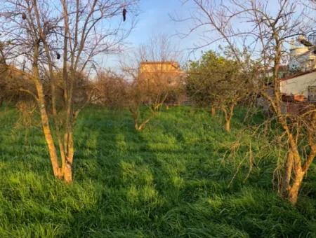 Bogenschützen Grundstück Zu Verkaufen 4707M2 Land Zu Verkaufen