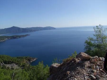 Immobilien-Schnäppchen-Grundstück Zu Verkaufen Mit Meerblick In Çandır Anruf In Ekincik