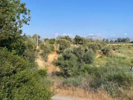 Land Zu Verkaufen In Fevziye 1858M2 Land Zum Verkauf Mit Voller Meerblick