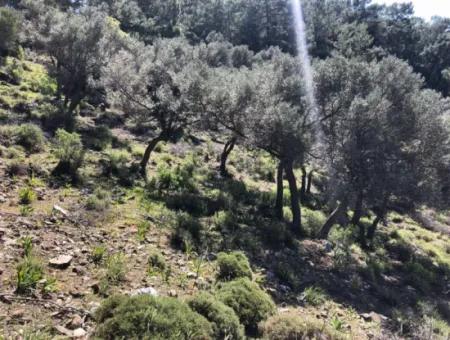 Grundstück Zum Verkauf Mit Meerblick In Çandir