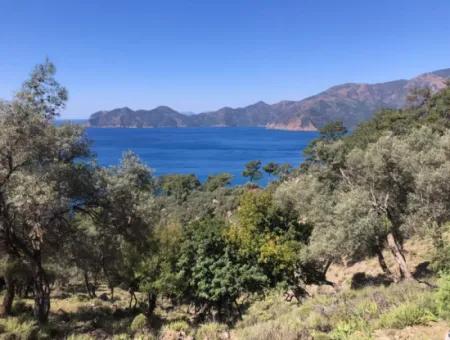 Grundstück Zum Verkauf Mit Meerblick In Çandir