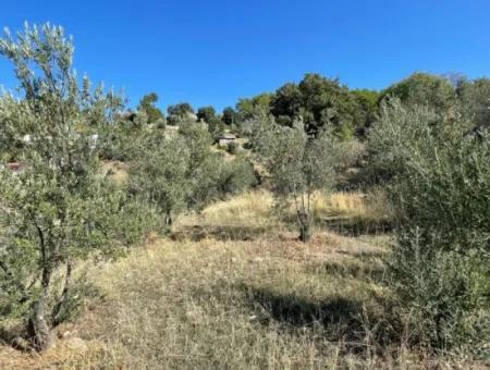 Gökbelde Voller Meerblick 3514M2 Grundstück Zum Verkauf