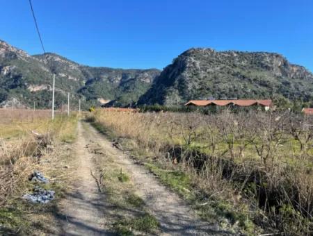 Dalyan Iztuzu Road Zero 5216M2 Feldgrundstück Zum Verkauf