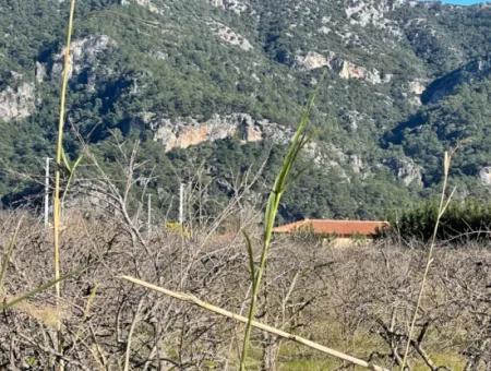 Dalyan Iztuzu Road Zero 5216M2 Feldgrundstück Zum Verkauf