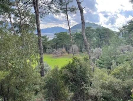 10.707M2 2B Feld Zu Verkaufen Mit Meerblick See In Çandır