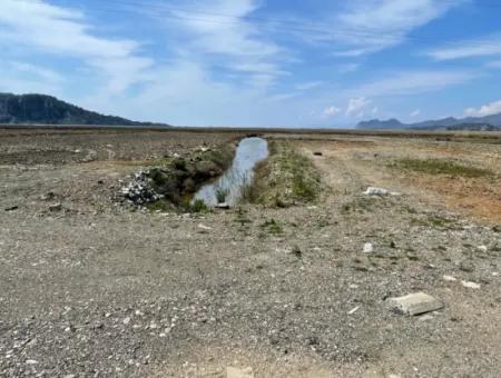 Dalyan Iztuzu Strand Straße Null 19.600M2 Feld Land Zum Verkauf