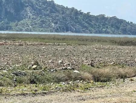 Dalyan Iztuzu Strand Straße Null 19.600M2 Feld Land Zum Verkauf