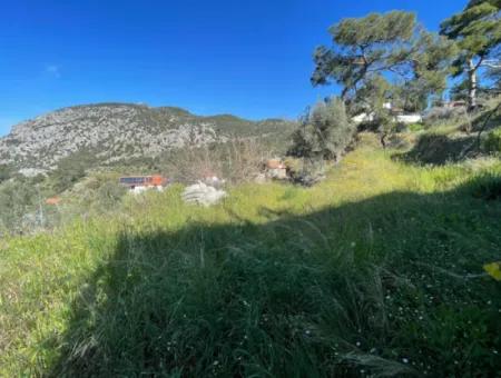 Dorfhaus Zum Verkauf Auf 4.400M2 Grundstück Mit Vollem Meerblick In Gökbel