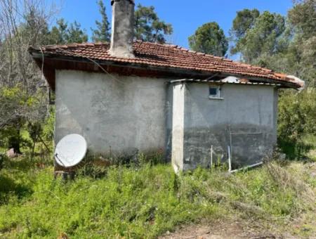 Mehrfamilienhaus Zum Verkauf In 5650M2 Feld In Zeytinalann