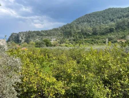 5000M2 Feld Zum Verkauf Am Anfang Der Straße In Çandır