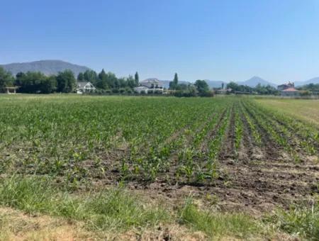 Grundstück Zum Verkauf Von 2715M2 Im Bebauten Gebiet Des Dorfes In Okçular