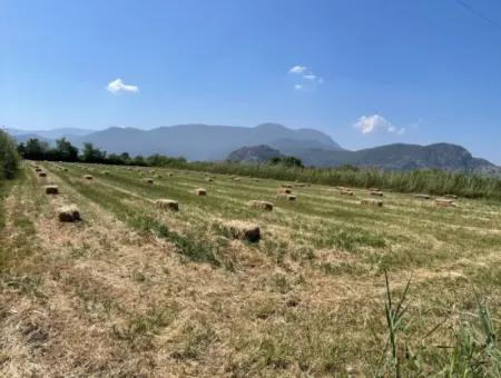 6.500 M2 Feld Zum Verkauf An Der Iztuzu-Straße In Dalyan