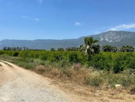 13.500 M2 Straßenfeld Zum Verkauf In Akyaka Akçapınar