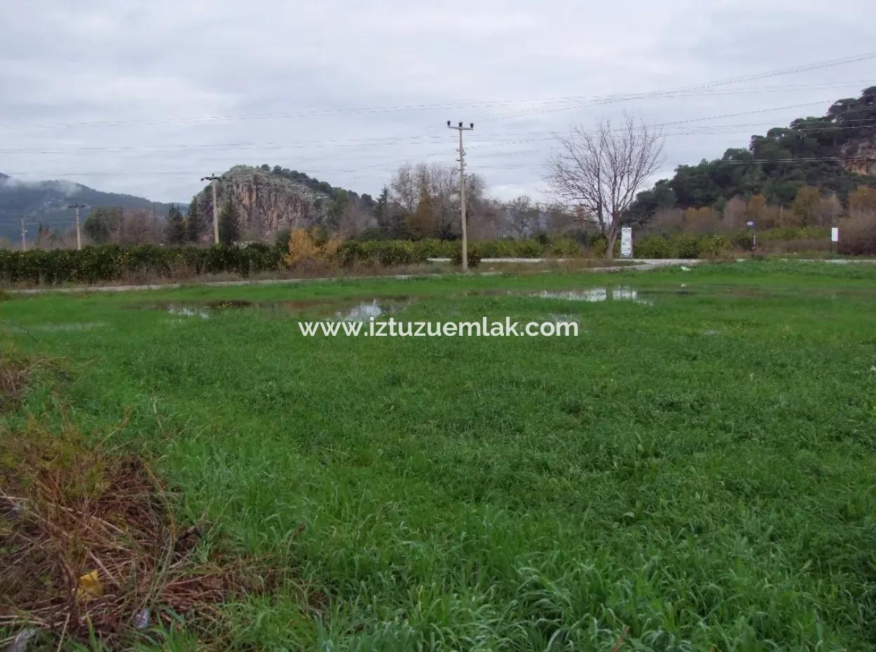 Gulpinar Dalyan Dalyan For Sale In 1002M2 Plot For Sale For Sale Cornerstone