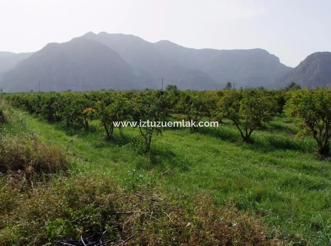 Merkez Dalyan Iztuzu Lake Garden Villa For Sale