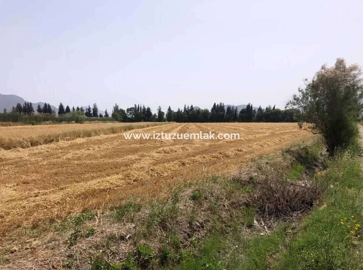 Farm Land For Sale 39 Acres In Eskikoy