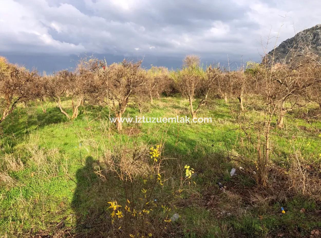 Dalyan Land For Sale Near The Center 3000M2 5% Zoning Land For Sale