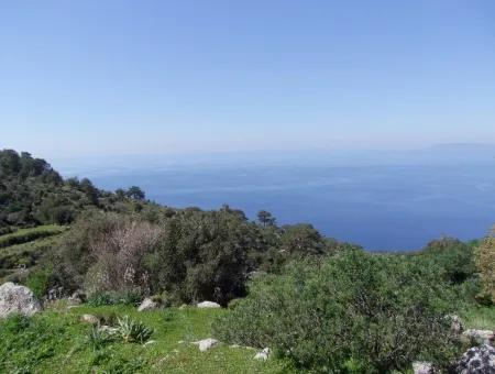 For Sale In Faralya Faralya With Sea View And 11,286M2 Land For Sale Tourism