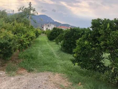 722M2 Plot For Sale In Dalyan Gülpınar For Sale