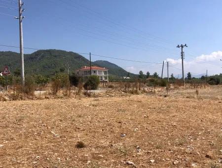 11.227M2 Land For Sale With Lake Views In Köyceğiz Zeytinalanı