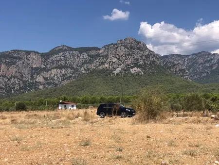 11.227M2 Land For Sale With Lake Views In Köyceğiz Zeytinalanı