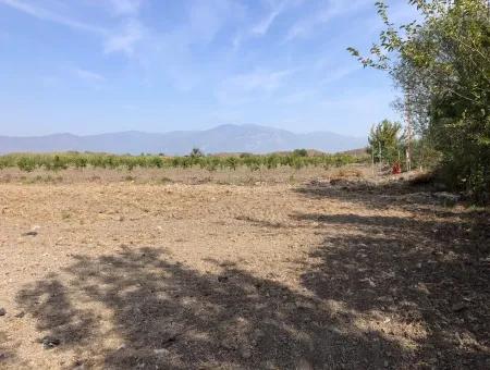 Land For Sale In Esköy 8500M2 Field Land For Sale