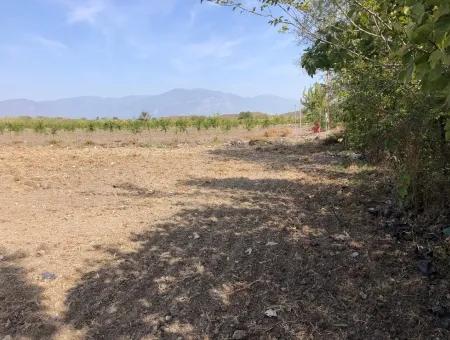 Land For Sale In Esköy 8500M2 Field Land For Sale