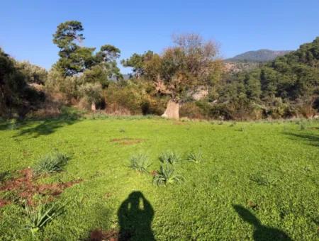 Ekincik Land For Sale 10,038M2 Land For Sale Field