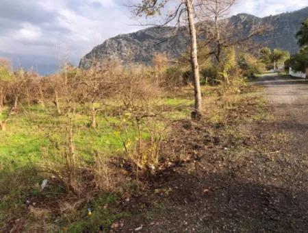 Dalyan Land For Sale Near The Center 3000M2 5% Zoning Land For Sale