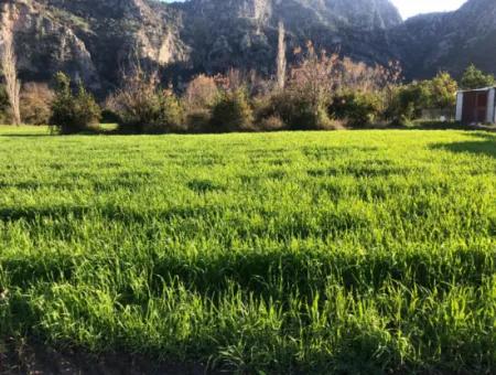 Land For Sale Marmarli 1500M2 Land For Sale