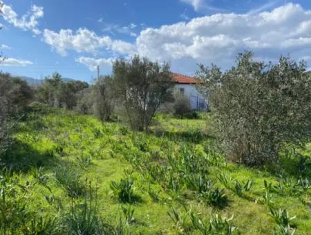 401M2 Land For Sale In Ortaca Cumhuriyet Neighborhood