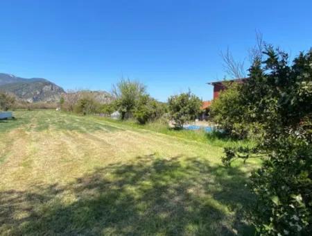 3700M2 Land For Sale In Dalyan