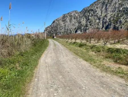 9310M2 Land For Sale In Dalyan