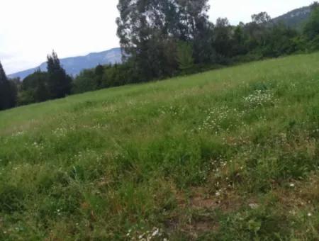 Land For Sale In Çamlida