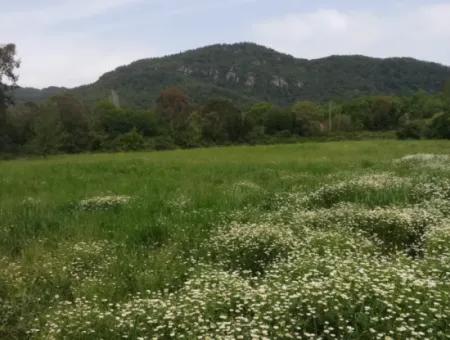 Land For Sale In Çamlida