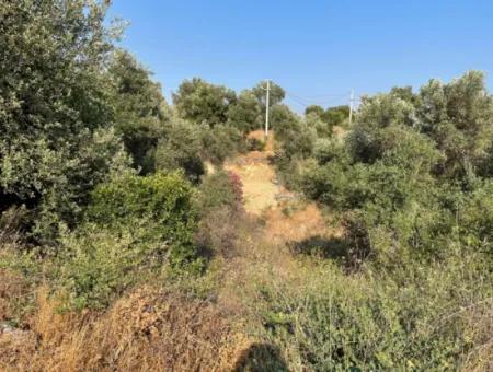 Land For Sale In Fevziye 1858M2 Land For Sale With Full Sea View