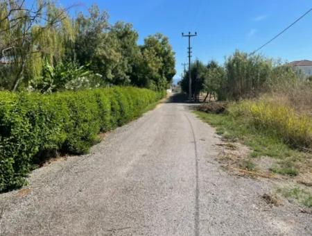 1000M2 Land For Sale In Dalyan Gülpinar Corner